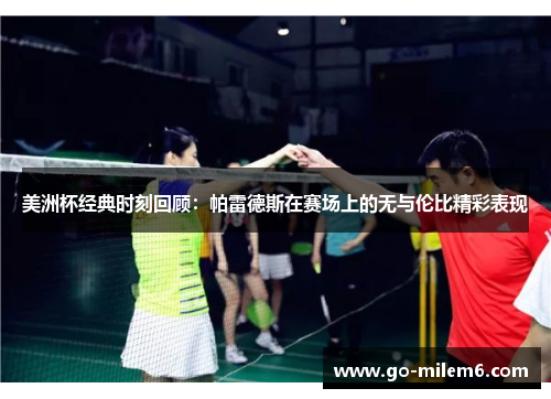 美洲杯经典时刻回顾：帕雷德斯在赛场上的无与伦比精彩表现