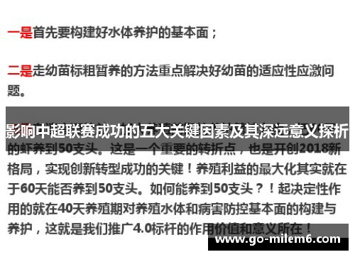 影响中超联赛成功的五大关键因素及其深远意义探析