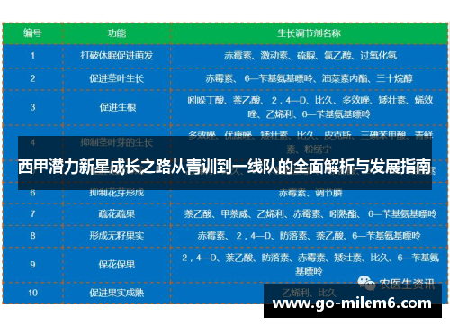 西甲潜力新星成长之路从青训到一线队的全面解析与发展指南