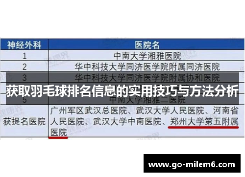 获取羽毛球排名信息的实用技巧与方法分析