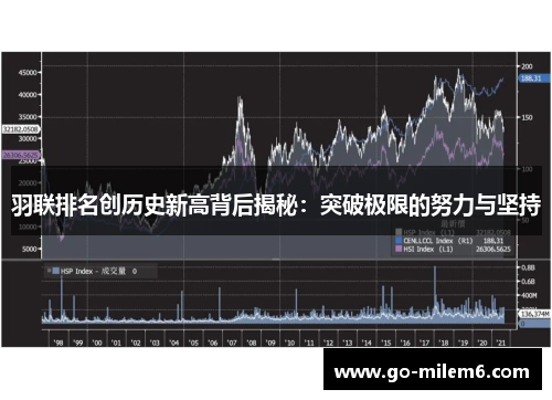 羽联排名创历史新高背后揭秘：突破极限的努力与坚持