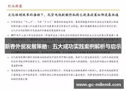 新春外贸发展策略：五大成功实践案例解析与启示