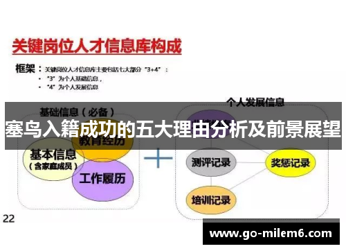 塞鸟入籍成功的五大理由分析及前景展望