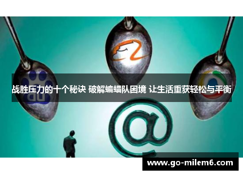 战胜压力的十个秘诀 破解蝙蝠队困境 让生活重获轻松与平衡