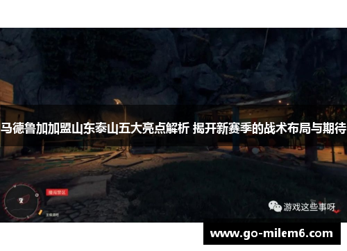 马德鲁加加盟山东泰山五大亮点解析 揭开新赛季的战术布局与期待