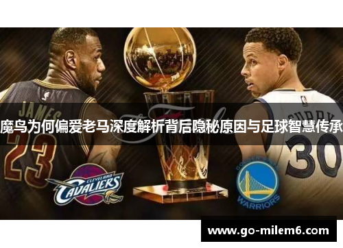 魔鸟为何偏爱老马深度解析背后隐秘原因与足球智慧传承