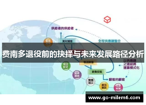 费南多退役前的抉择与未来发展路径分析 费南多退役前的抉择与未来发展路径分析