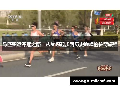 马匹奥运夺冠之路：从梦想起步到历史巅峰的传奇旅程
