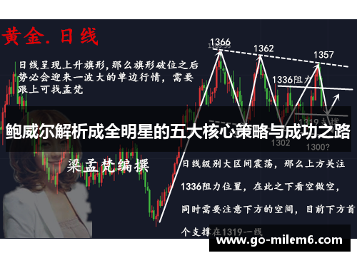 鲍威尔解析成全明星的五大核心策略与成功之路